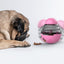 IQ Treat Toy - Buddies Pet Shop