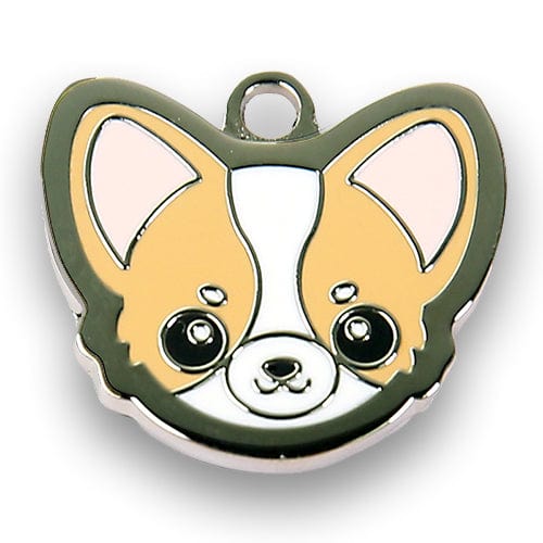 Chihuahua - Buddies Pet Shop