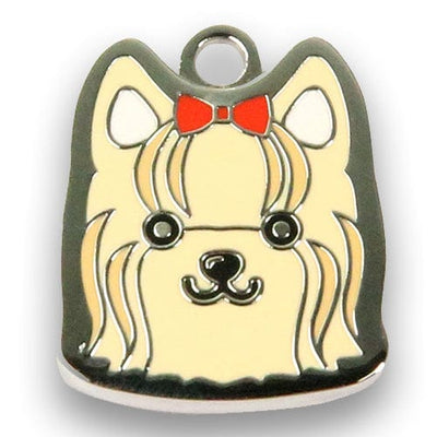 Yorkshire Terrier - Buddies Pet Shop