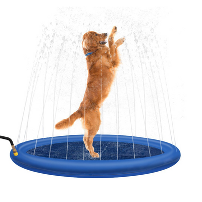 Joyful golden retriever playing in a cooling sprinkler pad, splashing water on a hot summer day. Perfect outdoor fun!