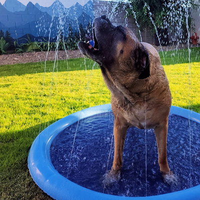 Happy dog enjoying a cool splash on a sunny day with a refreshing cooling sprinkler pad.