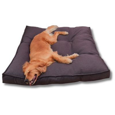 Chew Resistant Dog Pillow Bed